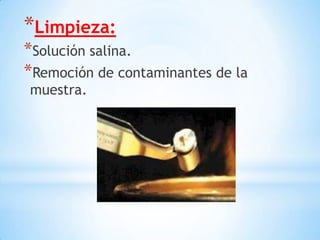 *Limpieza:
*Solución salina.
*Remoción de contaminantes de la
muestra.
 