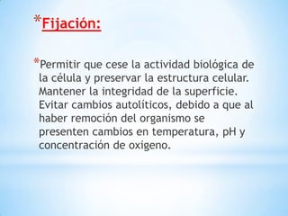 *Fijación:
*Permitir que cese la actividad biológica de
la célula y preservar la estructura celular.
Mantener la integridad de la superficie.
Evitar cambios autolíticos, debido a que al
haber remoción del organismo se
presenten cambios en temperatura, pH y
concentración de oxigeno.
 