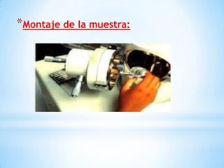 *Montaje de la muestra:
 