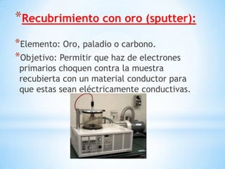 *Recubrimiento con oro (sputter):
*Elemento: Oro, paladio o carbono.
*Objetivo: Permitir que haz de electrones
primarios choquen contra la muestra
recubierta con un material conductor para
que estas sean eléctricamente conductivas.
 