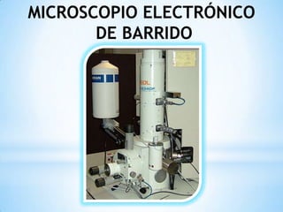 MICROSCOPIO ELECTRÓNICO
DE BARRIDO
 