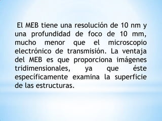 El MEB tiene una resolución de 10 nm y
una profundidad de foco de 10 mm,
mucho menor que el microscopio
electrónico de transmisión. La ventaja
del MEB es que proporciona imágenes
tridimensionales, ya que éste
específicamente examina la superficie
de las estructuras.
 