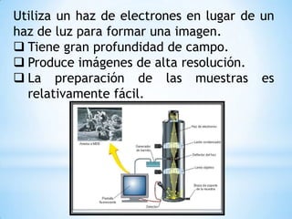 Utiliza un haz de electrones en lugar de un
haz de luz para formar una imagen.
 Tiene gran profundidad de campo.
 Produce imágenes de alta resolución.
 La preparación de las muestras es
relativamente fácil.
 