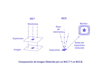 Comparación de Imagen Obtenida por un M.E.T Y un M.E.B.
 