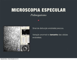 MICROSCOPIA ESPECULAR
Tipos de microscópios

Quarta-feira, 16 de Outubro de 13

 