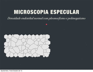 MICROSCOPIA ESPECULAR
Determinação da densidade endotelial
Método de comparação: comparação com um padrão em favo de mel prédeterminado
Método de moldura: contagem das células numa moldura deﬁnida.

Quarta-feira, 16 de Outubro de 13

 