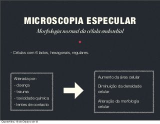 MICROSCOPIA ESPECULAR
Morfologia normal da célula endotelial

- Células com 6 lados, hexagonais, regulares.

Alterada por:

Aumento da área celular

- doença

Diminuição da densidade
celular

- trauma
- toxicidade química
- lentes de contacto

Quarta-feira, 16 de Outubro de 13

Alteração da morfologia
celular

 
