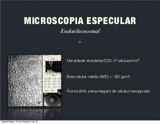 MICROSCOPIA ESPECULAR
Endotélio normal

Densidade endotelial (CD): nº células/mm2

Área celular média (AVE) +- SD (μm2)
Forma (6A): percentagem de células hexagonais

Quarta-feira, 16 de Outubro de 13

 
