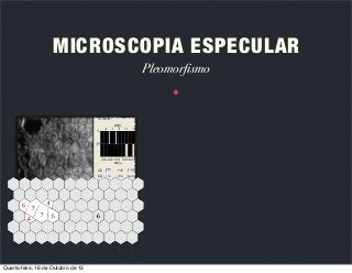 MICROSCOPIA ESPECULAR
Pleomorfismo

Quarta-feira, 16 de Outubro de 13

 