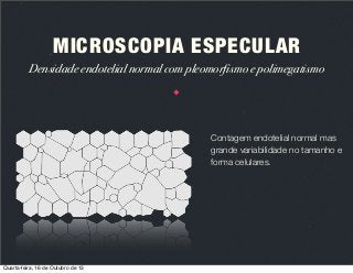 MICROSCOPIA ESPECULAR
Densidade endotelial normal com pleomorfismo e polimegatismo

Contagem endotelial normal mas
grande variabilidade no tamanho e
forma celulares.

Quarta-feira, 16 de Outubro de 13

 