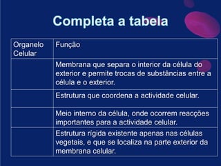 Completa a tabela