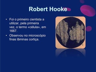 RobertHookeFoi o primeiro cientista a utilizar, pela primeira vez, o termo «célula», em 1667. Observou no microscópio finas lâminas cortiça.