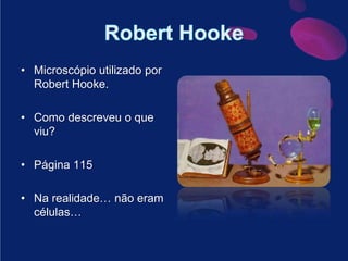 RobertHookeMicroscópio utilizado por RobertHooke.Como descreveu o que viu? Página 115Na realidade… não eram células…