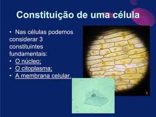 Constituição de uma célulaNas células podemos considerar 3 constituintes fundamentais:O núcleo;O citoplasma;A membrana celular.