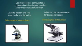 Microscopios monoculares. Microscopios binoculares:
Los microscopios compuestos a
diferencia de los simples, pueden
tener más de una lente ocular.
Cuando poseen una sola
lente ocular son llamados:
Mientras cuando tienen dos
lentes son llamados:
 