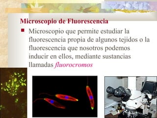 Microscopio de Fluorescencia
 Microscopio que permite estudiar la
  fluorescencia propia de algunos tejidos o la
  fluorescencia que nosotros podemos
  inducir en ellos, mediante sustancias
  llamadas fluorocromos
 