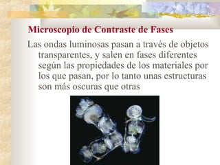 Microscopio de Contraste de Fases
Las ondas luminosas pasan a través de objetos
  transparentes, y salen en fases diferentes
  según las propiedades de los materiales por
  los que pasan, por lo tanto unas estructuras
  son más oscuras que otras
 