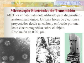 Microscopio Electrónico de Transmisión
MET: es el habitualmente utilizado para diagnóstico
  anatomopatológico. Utilizan haces de electrones
  proyectados desde un cañón y enfocado por una
  lente electromagnética sobre el objeto.
  Resolución de 0.001μm
 
