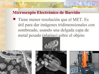 Microscopio Electrónico de Barrido
   Tiene menor resolución que el MET. Es
    útil para dar imágenes tridimensionales con
    sombreado, usando una delgada capa de
    metal pesado (platino) sobre el objeto
 