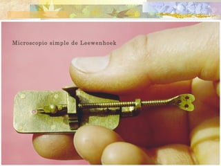 Microscopio simple de Leewenhoek
 