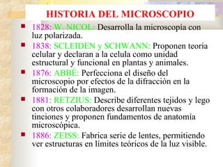 HISTORIA DEL MICROSCOPIO
   1828: W. NICOL: Desarrolla la microscopía con
    luz polarizada.
   1838: SCLEIDEN y SCHWANN: Proponen teoria
    celular y declaran a la celula como unidad
    estructural y funcional en plantas y animales.
   1876: ABBÉ: Perfecciona el diseño del
    microscopio por efectos de la difracción en la
    formación de la imagen.
   1881: RETZIUS: Describe diferentes tejidos y lego
    con otros colaboradores desarrollan nuevas
    tinciones y proponen fundamentos de anatomía
    microscópica.
   1886: ZEISS: Fabrica serie de lentes, permitiendo
    ver estructuras en límites teóricos de la luz visible.
 