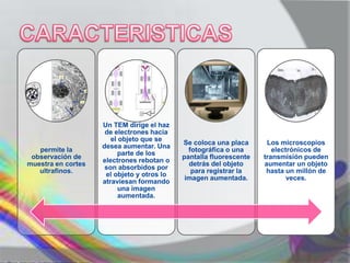 Un TEM dirige el haz
                     de electrones hacia
                       el objeto que se
                                            Se coloca una placa      Los microscopios
                    desea aumentar. Una
   permite la                                 fotográfica o una        electrónicos de
                         parte de los
 observación de                             pantalla fluorescente   transmisión pueden
                    electrones rebotan o
muestra en cortes                             detrás del objeto     aumentar un objeto
                     son absorbidos por
   ultrafinos.                                 para registrar la     hasta un millón de
                     el objeto y otros lo
                                             imagen aumentada.              veces.
                    atraviesan formando
                          una imagen
                          aumentada.
 