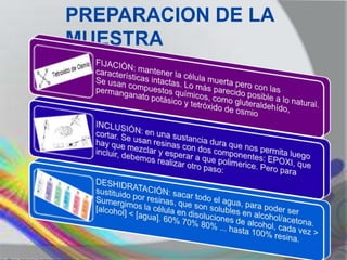 PREPARACION DE LA
MUESTRA
 
