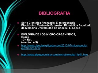 BIBLIOGRAFIA

   Serie Científica Avanzada: El microscopio
    Electrónico Centro de Extensión Biomédica Facultad
    de Medicina Universidad de Chile M. L. López

   BIOLOGÍA DE LOS MICRO-ORGANISMOS,
    Brock
    10va Ed.,
    (sección 4.3).
   http://www.cienciaexplicada.com/2010/07/microscopio-
    electronico.html

   http://www.elergonomista.com/microbiologia/11s01.htm
 