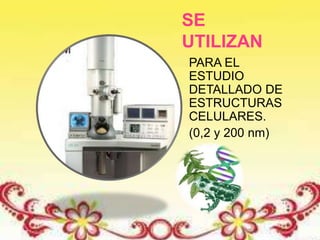 SE
UTILIZAN
PARA EL
ESTUDIO
DETALLADO DE
ESTRUCTURAS
CELULARES.
(0,2 y 200 nm)
 