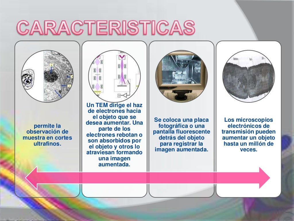 microscopia-met-meb