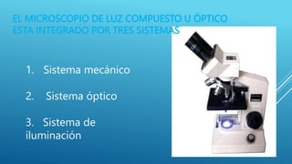 EL MICROSCOPIO DE LUZ COMPUESTO U ÓPTICO
ESTA INTEGRADO POR TRES SISTEMAS
1. Sistema mecánico
2. Sistema óptico
3. Sistema...