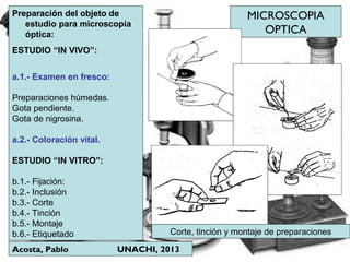 Acosta, Pablo UNACHI, 2013
MICROSCOPIA
OPTICA
Preparación del objeto de
estudio para microscopía
óptica:
ESTUDIO “IN VIVO”:
a.1.- Examen en fresco:
Preparaciones húmedas.
Gota pendiente.
Gota de nigrosina.
a.2.- Coloración vital.
ESTUDIO “IN VITRO”:
b.1.- Fijación:
b.2.- Inclusión
b.3.- Corte
b.4.- Tinción
b.5.- Montaje
b.6.- Etiquetado Corte, tinción y montaje de preparaciones
 