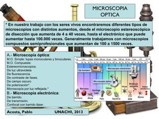 MICROSCOPIA
OPTICA
Acosta, Pablo UNACHI, 2013
* En nuestro trabajo con los seres vivos encontraremos diferentes tipos de
microscopios con distintos aumentos, desde el microscopio estereoscópico
de disección que aumenta de 4 a 40 veces, hasta el electrónico que puede
aumentar hasta 100.000 veces. Generalmente trabajamos con microscopios
compuestos semiprofesionales que aumentan de 100 a 1500 veces.
A.- Microscopía óptica:
M.O. Simple: lupas monoculares y binoculares.
M.O. Compuesta:
Estereomicroscopios.
De luz ultravioleta
De fluorescencia.
De contraste de fases.
De campo oscuro
De polarización*.
Microscopía por luz reflejada.*
B.- Microscopía electrónica:
De barrido.
De transmisión.
Confocal con barrido láser.
 
