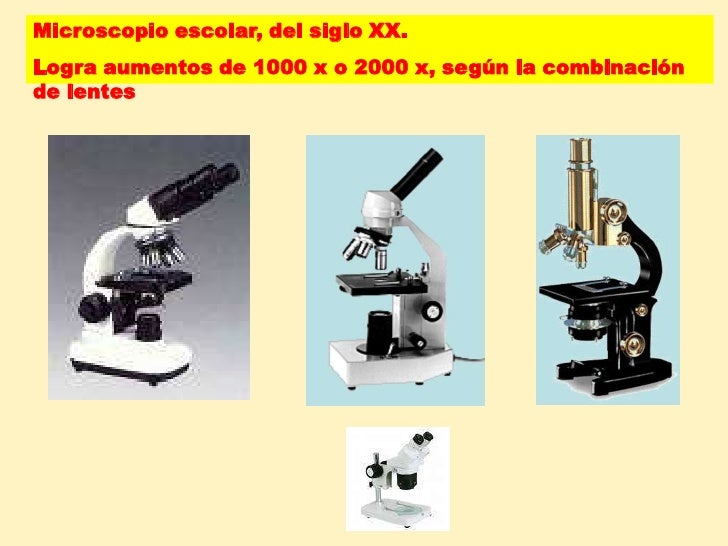 Microscopia uv2010