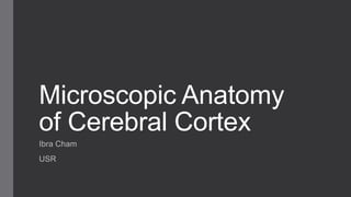 Microscopic Anatomy
of Cerebral Cortex
Ibra Cham
USR

 