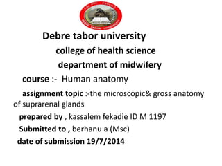 Debre tabor university
college of health science
department of midwifery
course :- Human anatomy
assignment topic :-the microscopic& gross anatomy
of suprarenal glands
prepared by , kassalem fekadie ID M 1197
Submitted to , berhanu a (Msc)
date of submission 19/7/2014
 