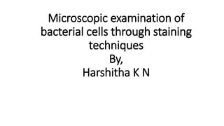Microscopic examination of
bacterial cells through staining
techniques
By,
Harshitha K N
 