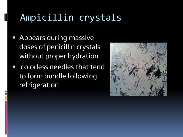 Ampicillin Dosage Forms