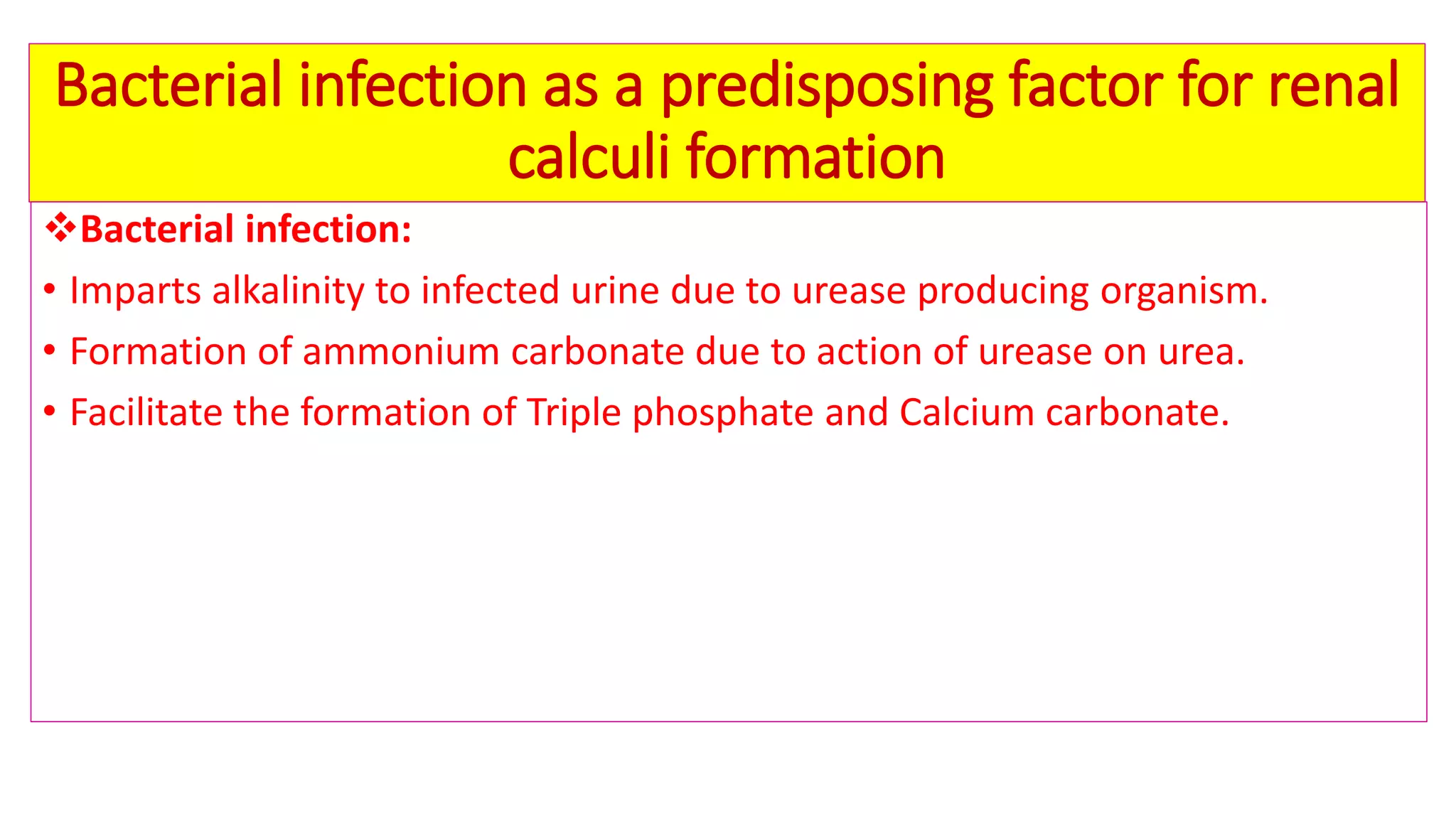 Microscopic examination of urine