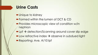Urine R M Test Microscopic_Examination_of_Urine_pdf.pdf