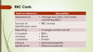 Uri One Rbc Casts Microscopic_Examination_of_Urine_pdf.pdf