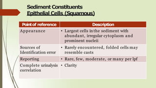 Sediment Constituents
Epithelial Cells (Squamous)
Pointof reference Description
Appearance • Largest cells in the sediment with
abundant, irregular cytoplasm and
prominent nucleii
Sources of
Identification error
• Rarely encountered, folded cells may
resemble casts
Reporting • Rare, few, moderate, or many per lpf
Complete urinalysis
correlation
• Clarity
 