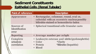 Sediment Constituents
Epithelial Cells (Renal Tubular)
Pointof reference Description
Appearance • Rectangular, columnar, round, oval or,
cuboidal with an eccentric nucleus possibly
bilirubin-stained or hemosiderin-laden
Sources of
Identification
error
• Spherical transitional cells Granular casts
Reporting • Average number per 10 hpfs
Complete
urinalysis
correlation
• Leukocyte esterase and nitrite(pyelonephritis)
• Color *Clarity
• Protein *Bilirubin (hepatitis)
• Blood
 