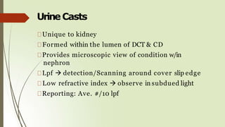 UrineCasts
Unique to kidney
Formed within the lumen of DCT & CD
Provides microscopic view of condition w/in
nephron
Lpf  detection/Scanning around cover slip edge
Low refractive index  observe in subdued light
Reporting: Ave. #/10 lpf
 