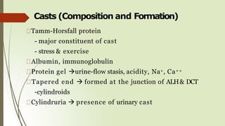 Casts (Composition and Formation)
Tamm-Horsfall protein
- major constituent of cast
- stress & exercise
Albumin, immunoglobulin
Protein gel urine-flow stasis, acidity, Na+, Ca++
Tapered end  formed at the junction of ALH& DCT
-cylindroids
Cylindruria  presence of urinary cast
 