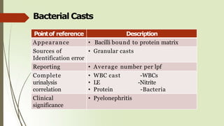 Bacterial Casts
Pointof reference Description
Appearance • Bacilli bound to protein matrix
Sources of
Identification error
• Granular casts
Reporting • Average number per lpf
Complete
urinalysis
correlation
• WBC cast -WBCs
• LE -Nitrite
• Protein -Bacteria
Clinical
significance
• Pyelonephritis
 