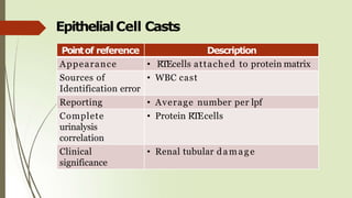 EpithelialCell Casts
Pointof reference Description
Appearance • RTEcells attached to protein matrix
Sources of
Identification error
• WBC cast
Reporting • Average number per lpf
Complete
urinalysis
correlation
• Protein RTEcells
Clinical
significance
• Renal tubular damage
 