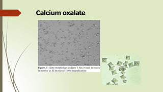 Calcium oxalate
 
