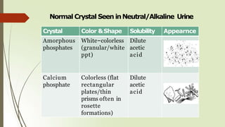 Normal Crystal Seen inNeutral/Alkaline Urine
Crystal Color &Shape Solubility Appearnce
Amorphous
phosphates
White–colorless
(granular/white
ppt)
Dilute
acetic
acid
Calcium
phosphate
Colorless (flat
rectangular
plates/thin
prisms often in
rosette
formations)
Dilute
acetic
acid
 