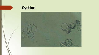Cystine
 